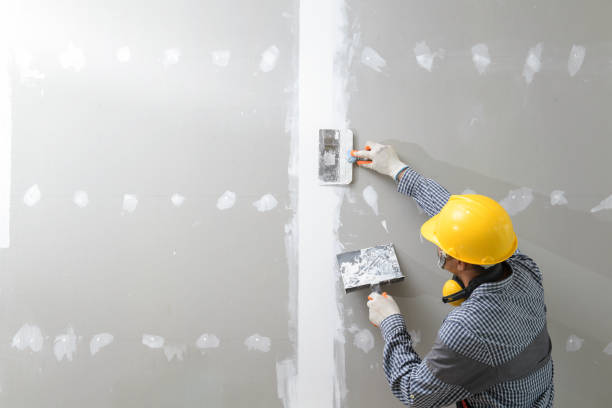 Best Post-Construction Mold Inspection  in Fort Thomas, KY